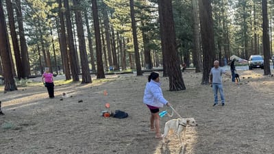 Scott Mara coaching a group obedience class at Bijou Park in South Lake Tahoe while handlers work dogs on long lines