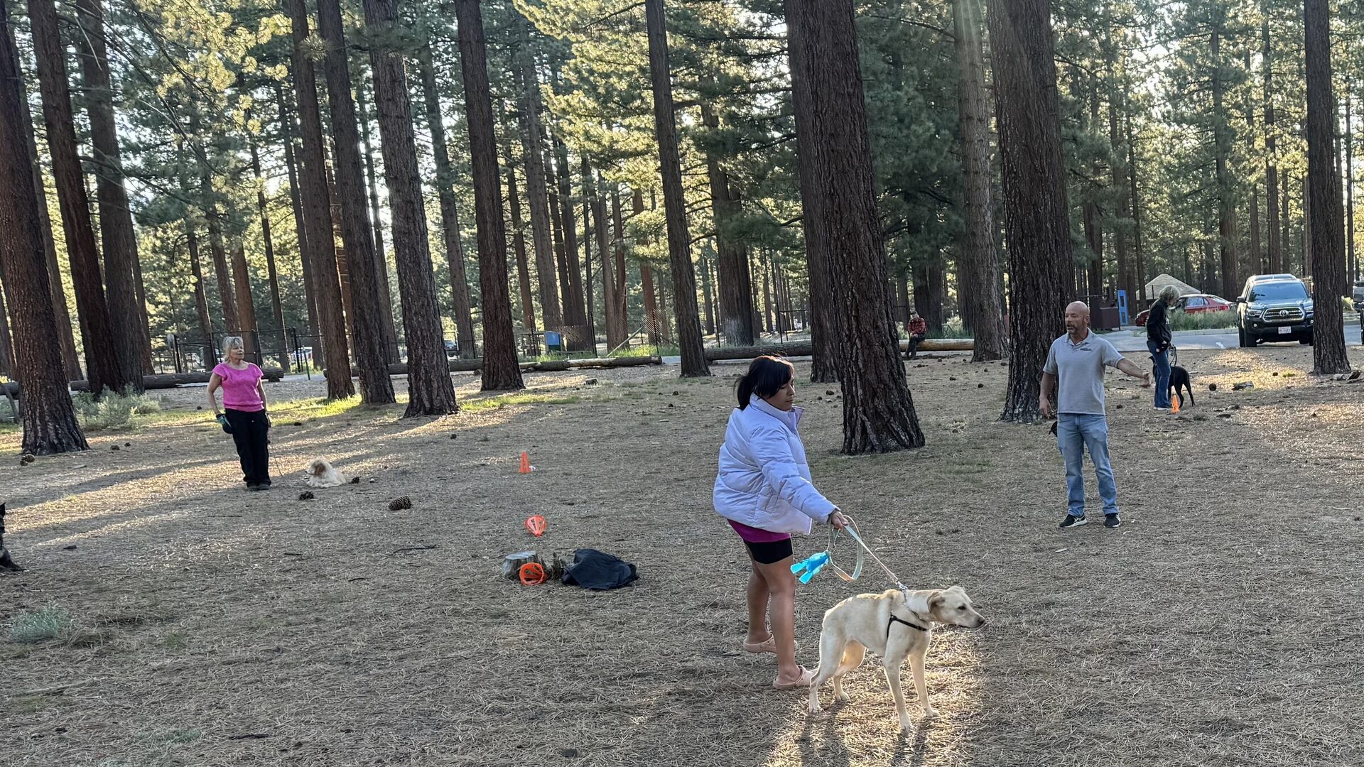 Scott Mara coaching a group obedience class at Bijou Park in South Lake Tahoe while handlers work dogs on long lines